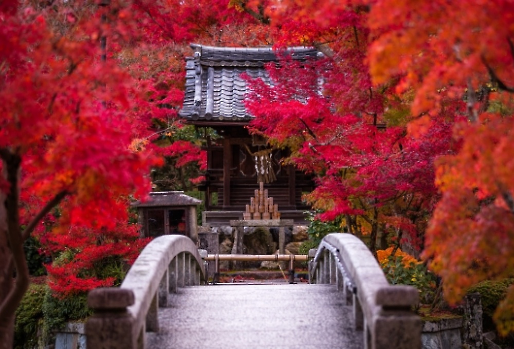 京都御所南にある京町家旅館 ちよせ 京都市中央区 丸太町駅徒歩1分 グループやご家族での長期滞在に便利な1棟貸し切り古民家ホテル 京町家 ちよせ